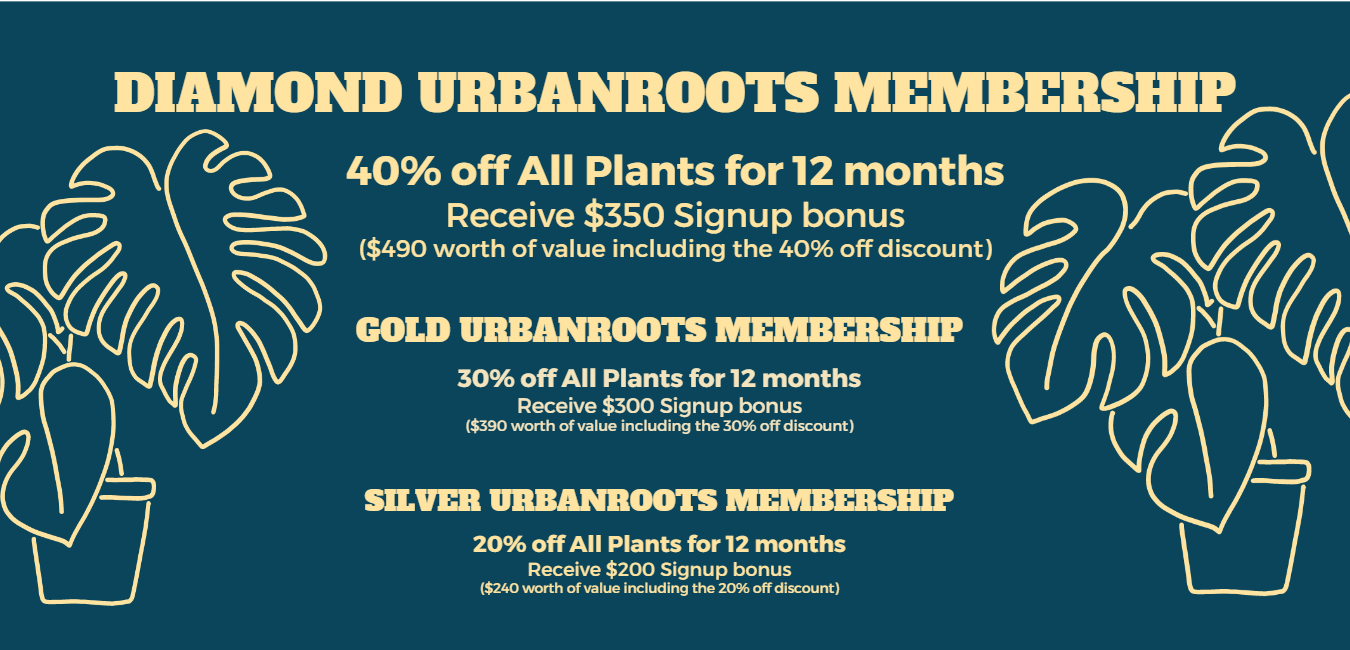 UrbanRoots Membership 40% off
