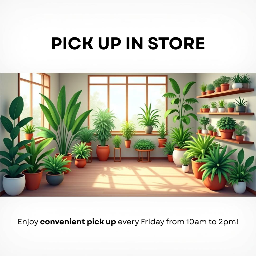 UrbanRoots Store
